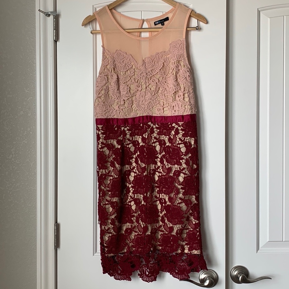 Pink with Lace Detail Dress by Ina NWOT